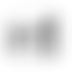 Private Investigators