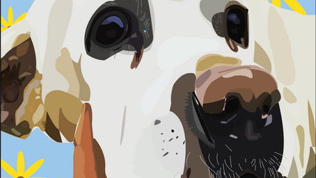 Vector Illustration Project