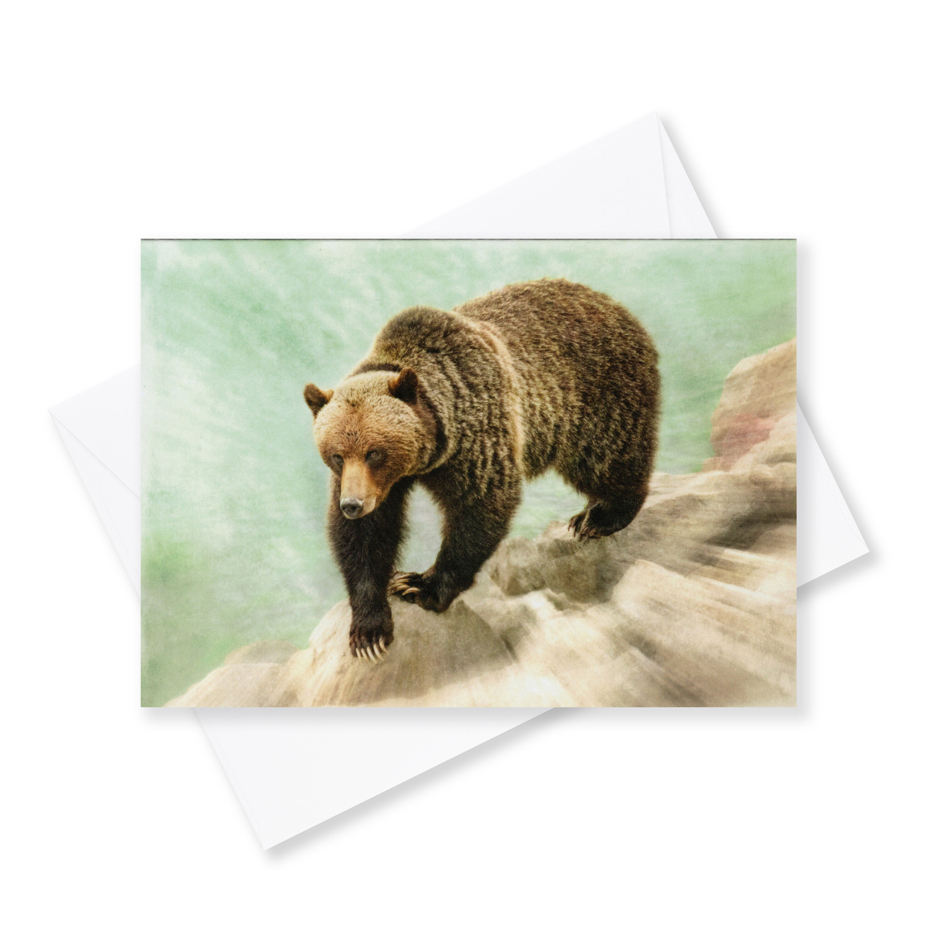 Radiating Strength - Grizzly Bear - Fine Art Greeting Card