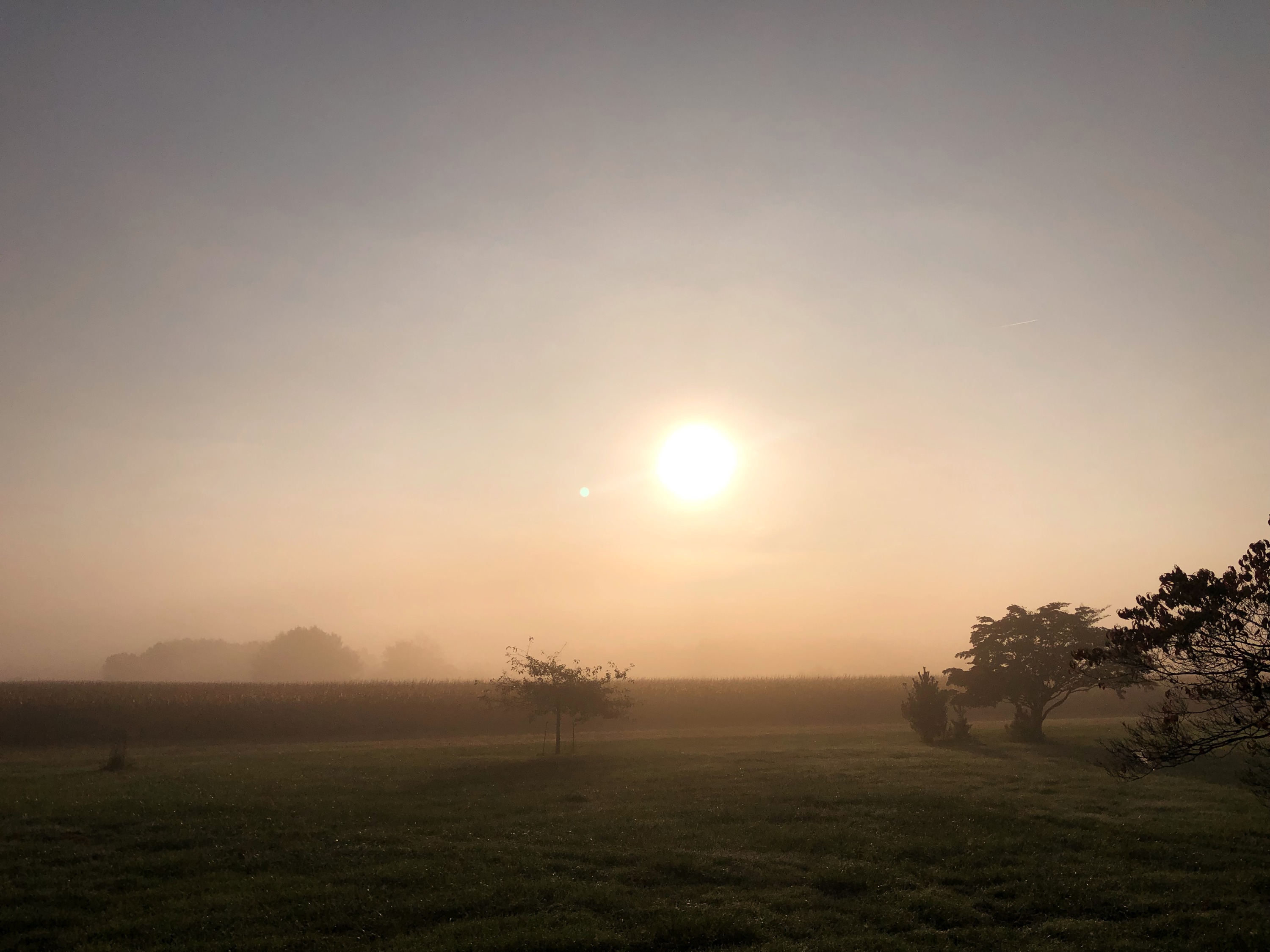 16 Daily Rituals: Dinacharya in Ayurveda