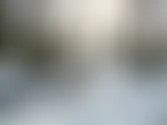 A winter scene representing Ayurveda for seasonal anxiety.