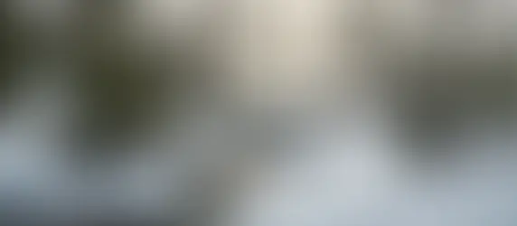 A winter scene representing Ayurveda for seasonal anxiety.