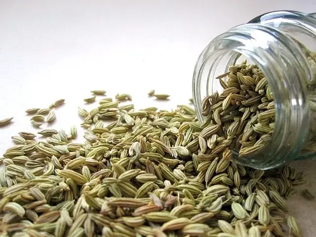 Digestive herbs: fennel seeds spilling out of a glass spice jar