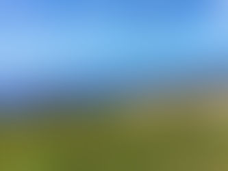A wide panoramic view of wind turbines on a coastal Maui hillside overlooking a vibrant blue ocean, representing the regulation of erratic Vata energy in Ayurveda.