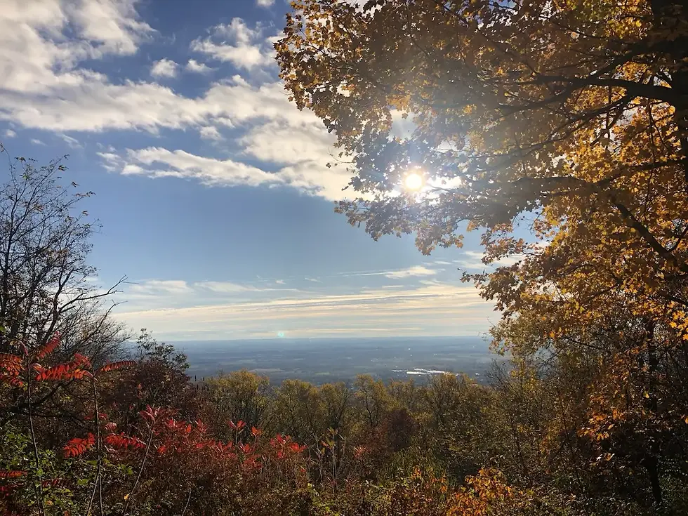 Autumn landscape showing changing leaves and crisp blue sky, representing seasonal Vata imbalance and nature's transition.