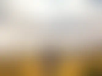 A person in a coat and hat stands in a vineyard during the Vata time of year, fall, overlooking a vast landscape of yellow fields under a dramatic cloudy sky. Mood: contemplative.