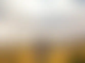 A person in a coat and hat stands in a vineyard during the Vata time of year, fall, overlooking a vast landscape of yellow fields under a dramatic cloudy sky. Mood: contemplative.