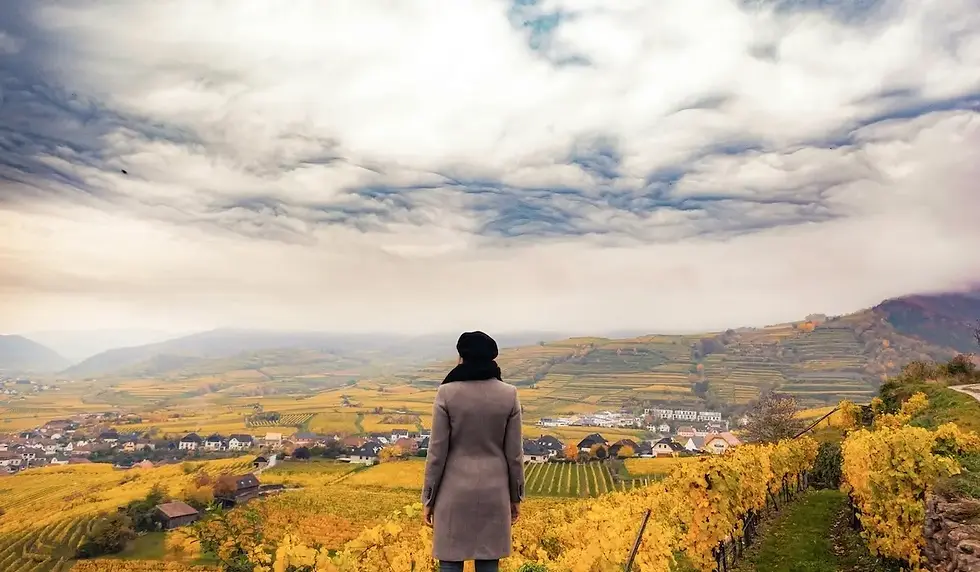 A person in a coat and hat stands in a vineyard during the Vata time of year, fall, overlooking a vast landscape of yellow fields under a dramatic cloudy sky. Mood: contemplative.