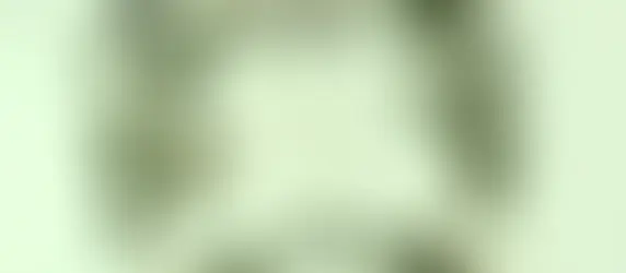 18 Simple Ayurvedic Tips for the New Year: A Guide to Health, Harmony, and Happiness