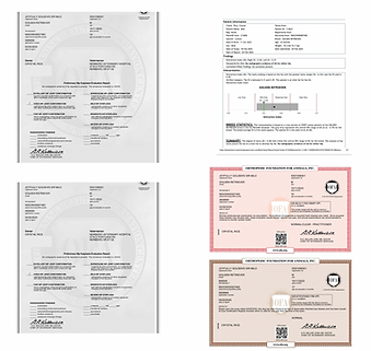 Copy of Untitled Design.PNG