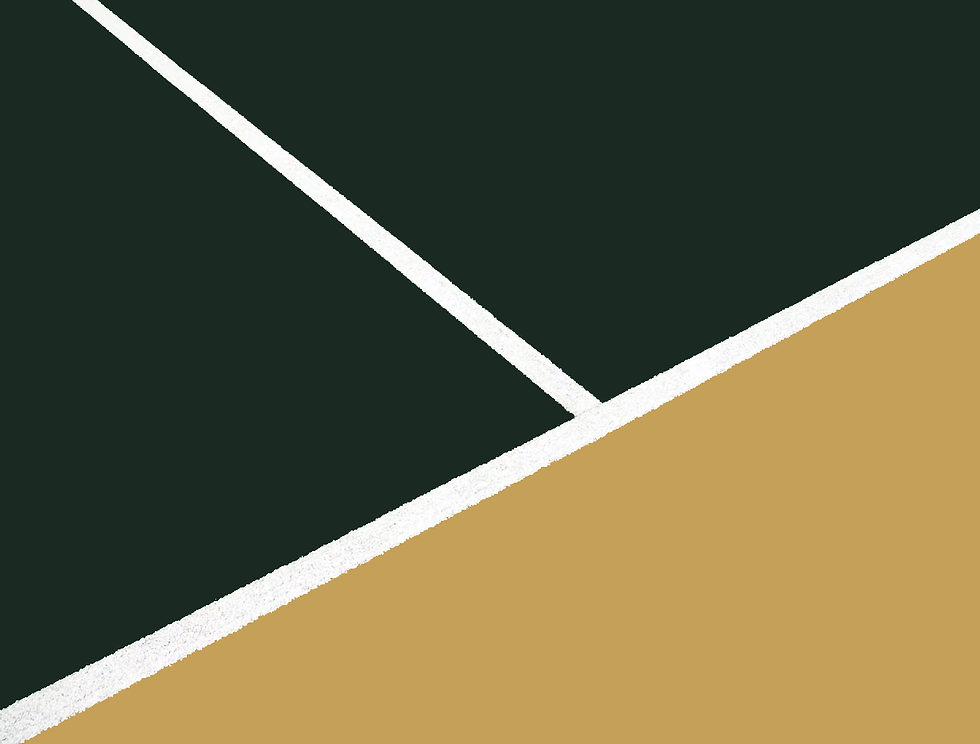 Variation_1