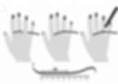 ring size chart
