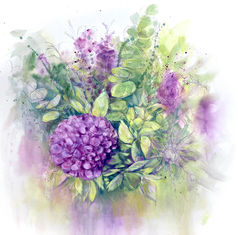 Purple Hydrangea