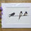 Thumbnail: Swallow bird giclee print | Home bird