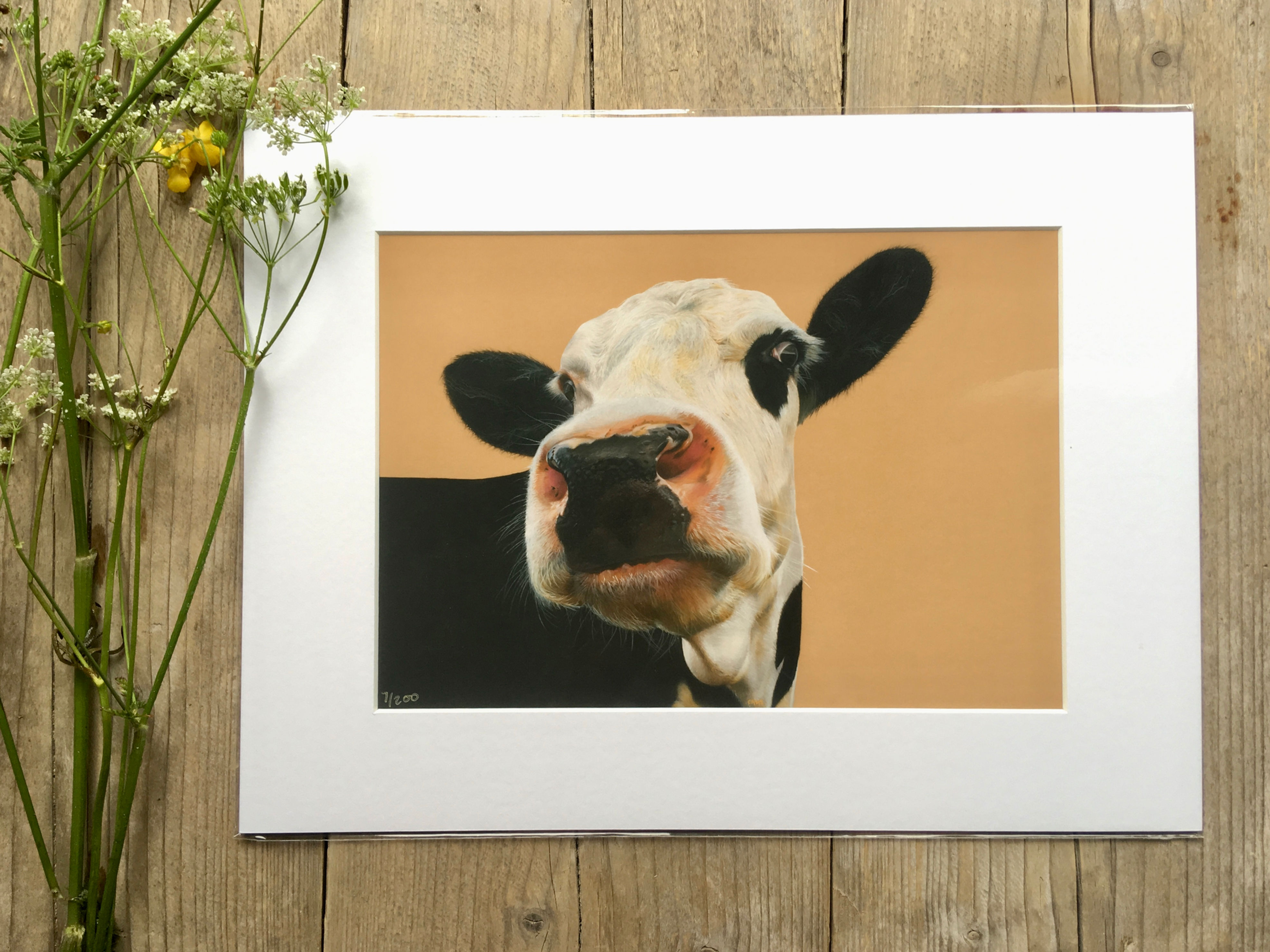 Cow giclee print | Beady eye
