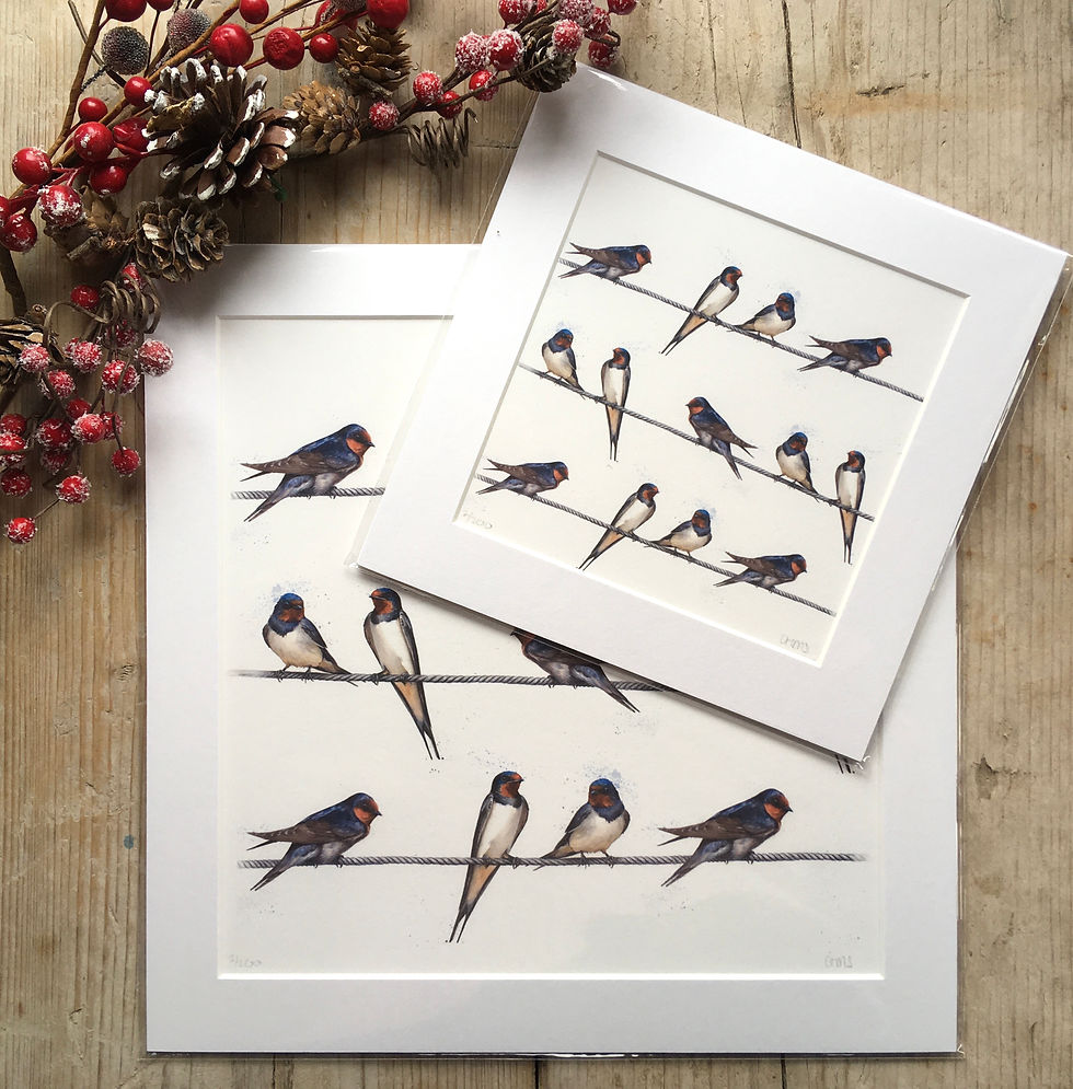 Swallows Gicleé Print '13 Swallows'