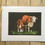 Thumbnail: Hereford Cow giclee print | Hereford cow and calf