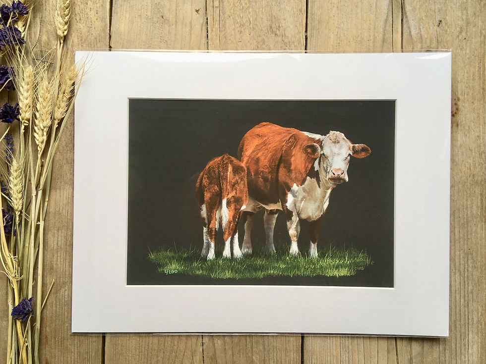 Hereford Cow giclee print | Hereford cow and calf
