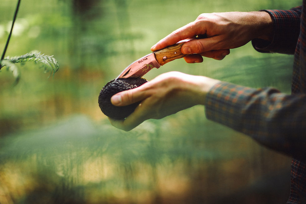 Miniature : Big Bill