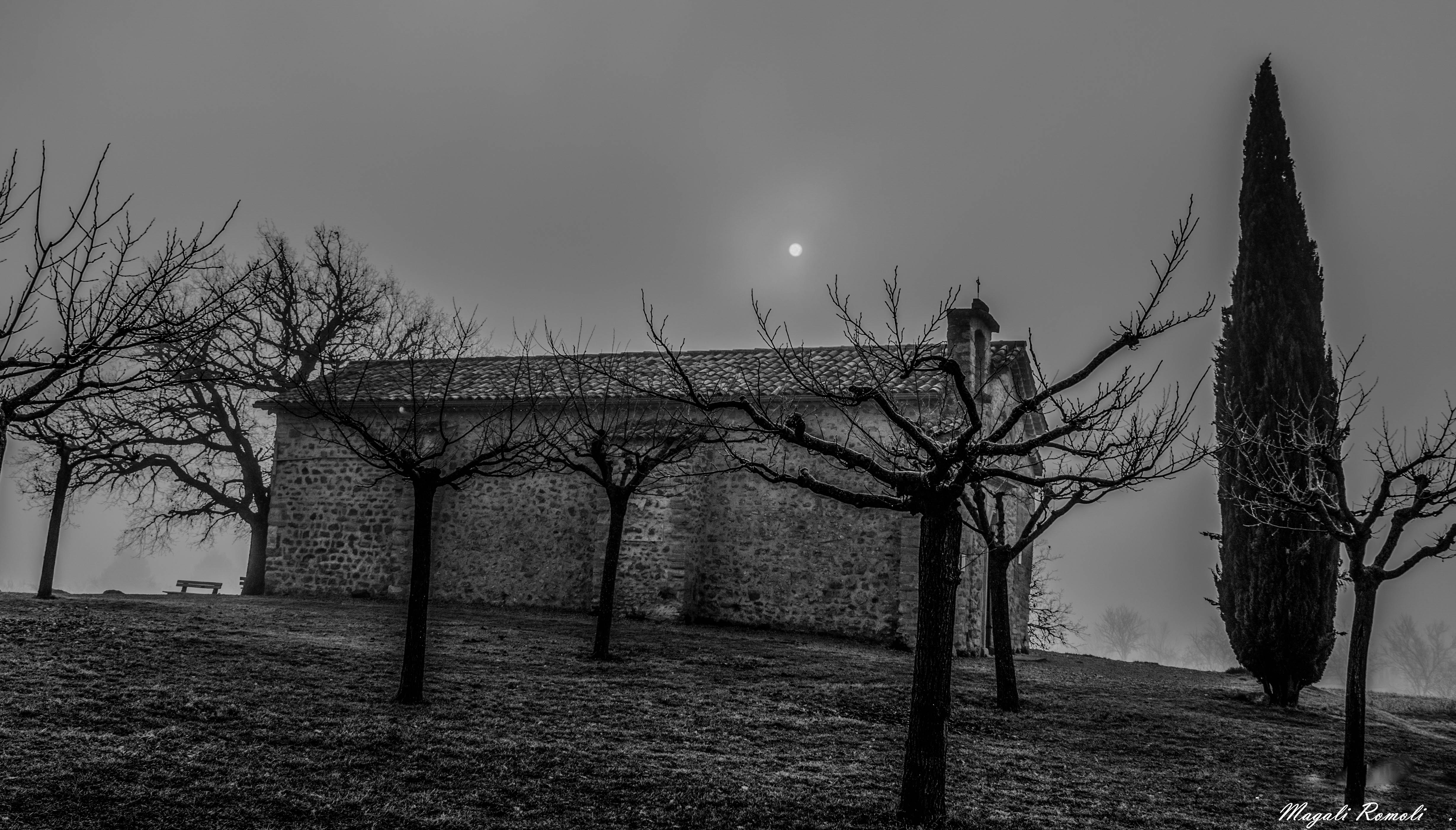 DSC_0130-2-2-2