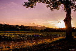 Magali Romoli Photographies-