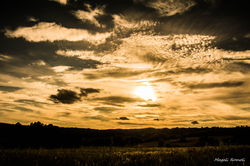 Magali Romoli Photographies-