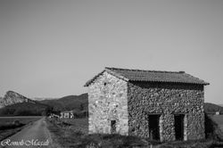 25012014-25012014-DSC_3471-2