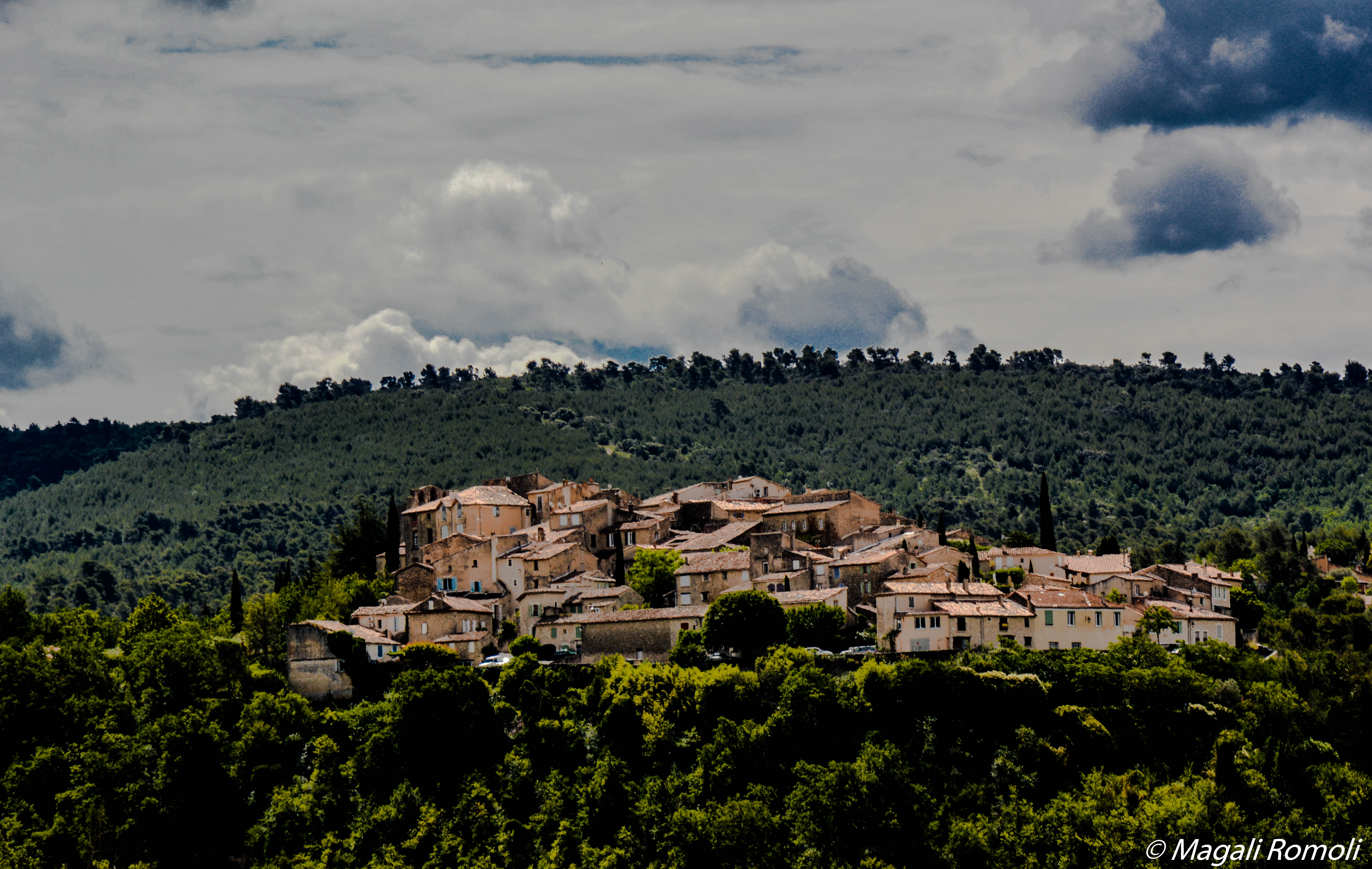 DSC_0171-4