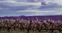 Magali Photographie_-13