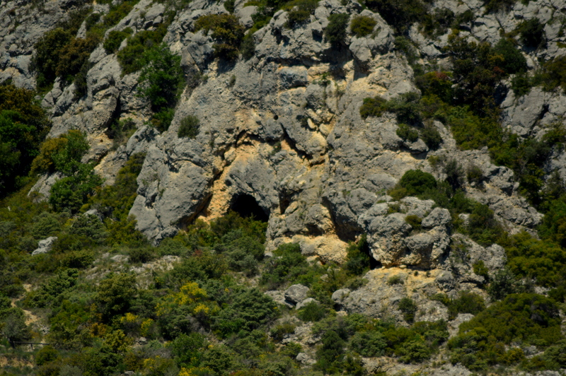 @Romoli-Magali