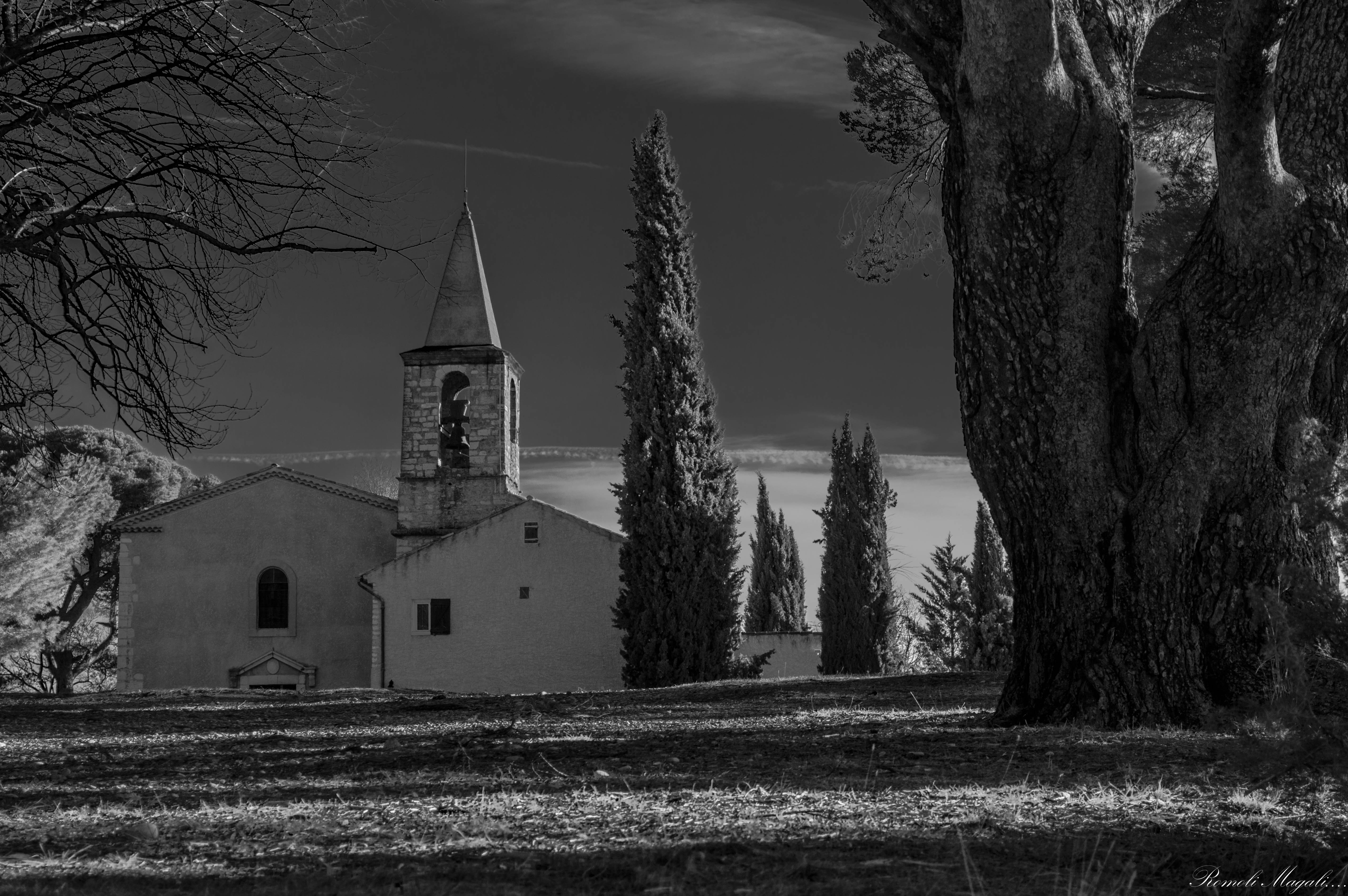 22022017-DSC_0484