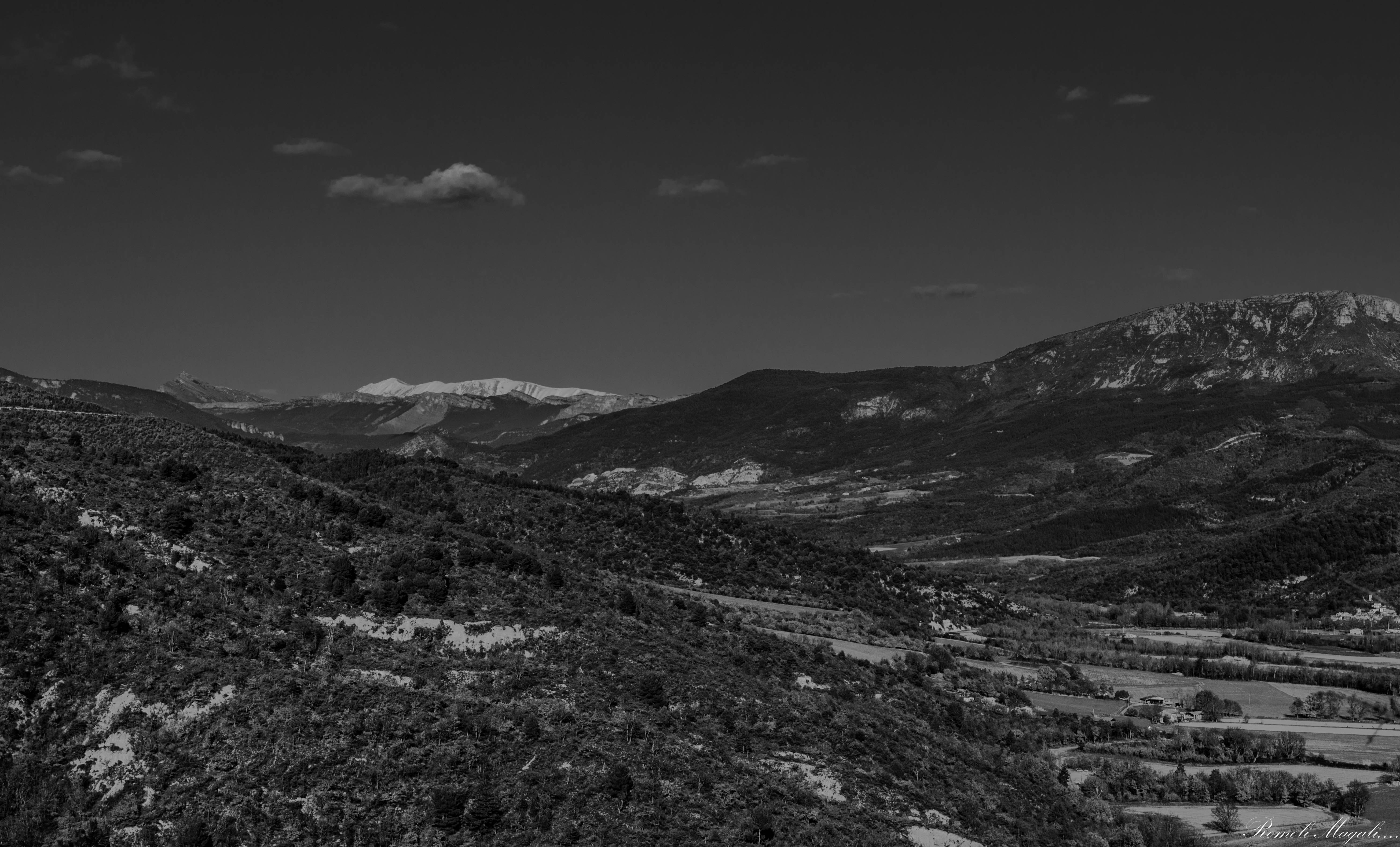 DSC_0472