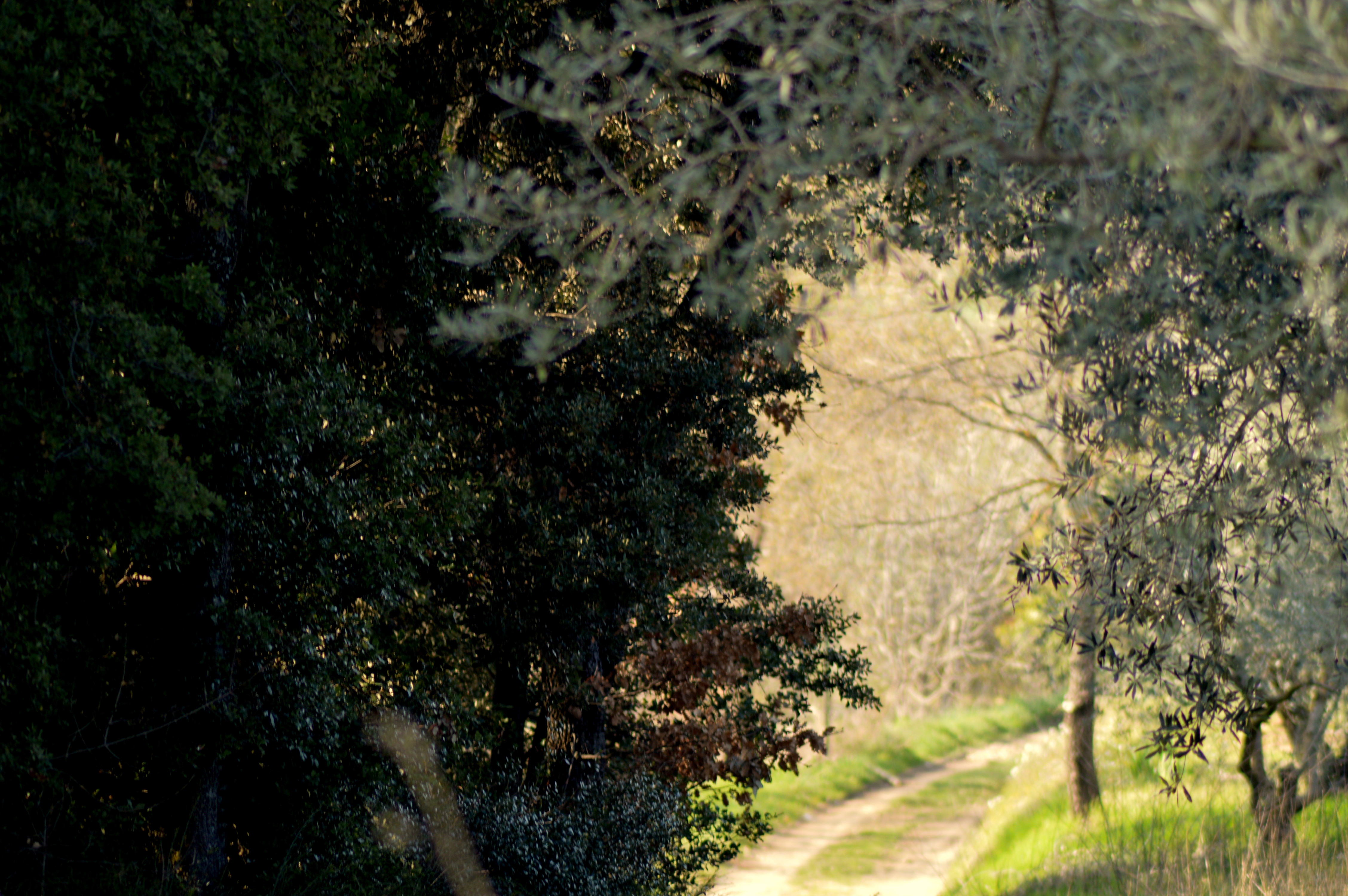 @Romoli-Magali