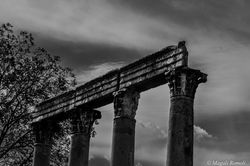 Magali Romoli-16.jpg