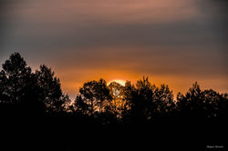 Magali Romoli Photographies-