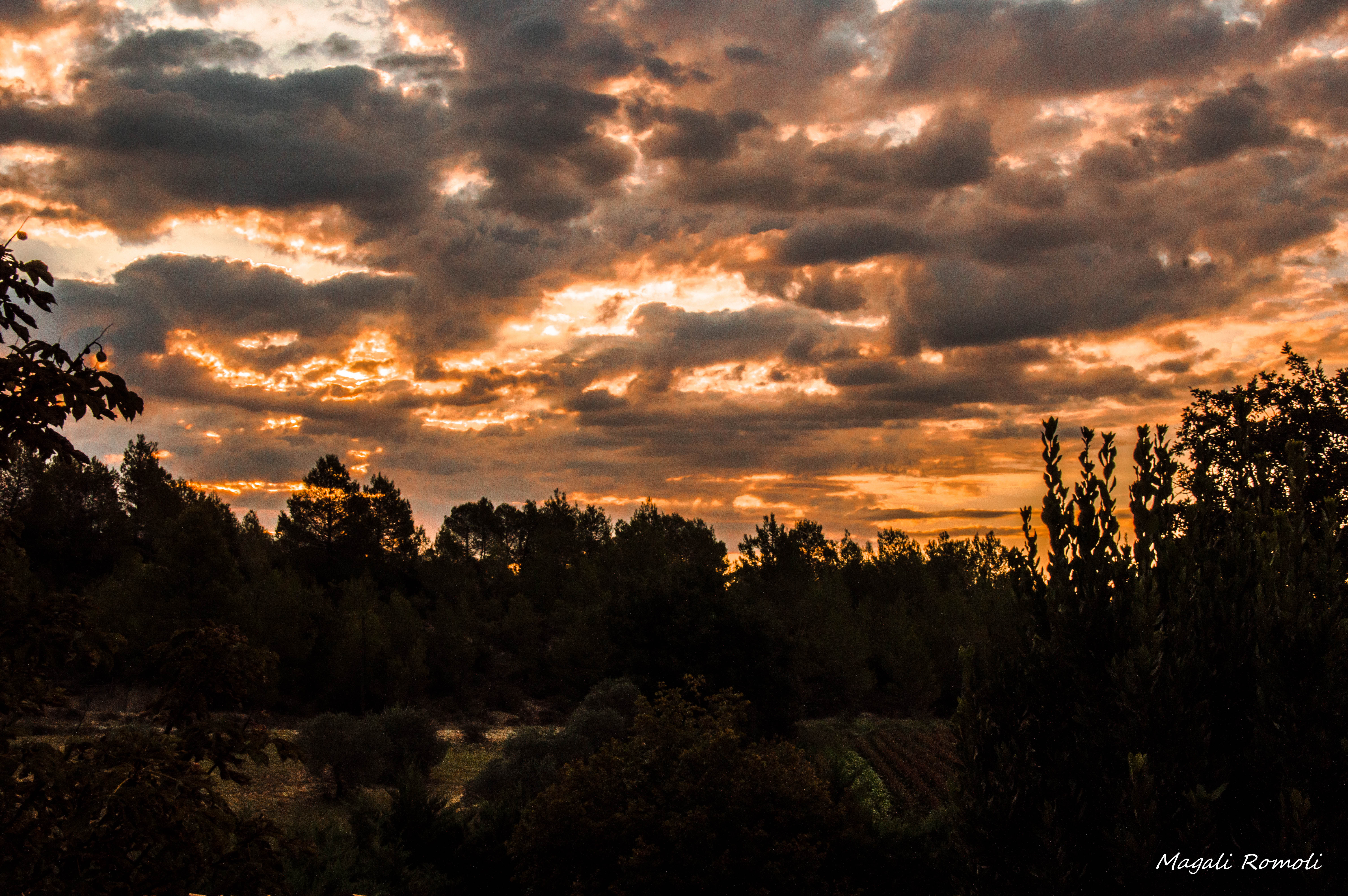 Magali Romoli Photographies