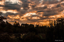 Magali Romoli Photographies