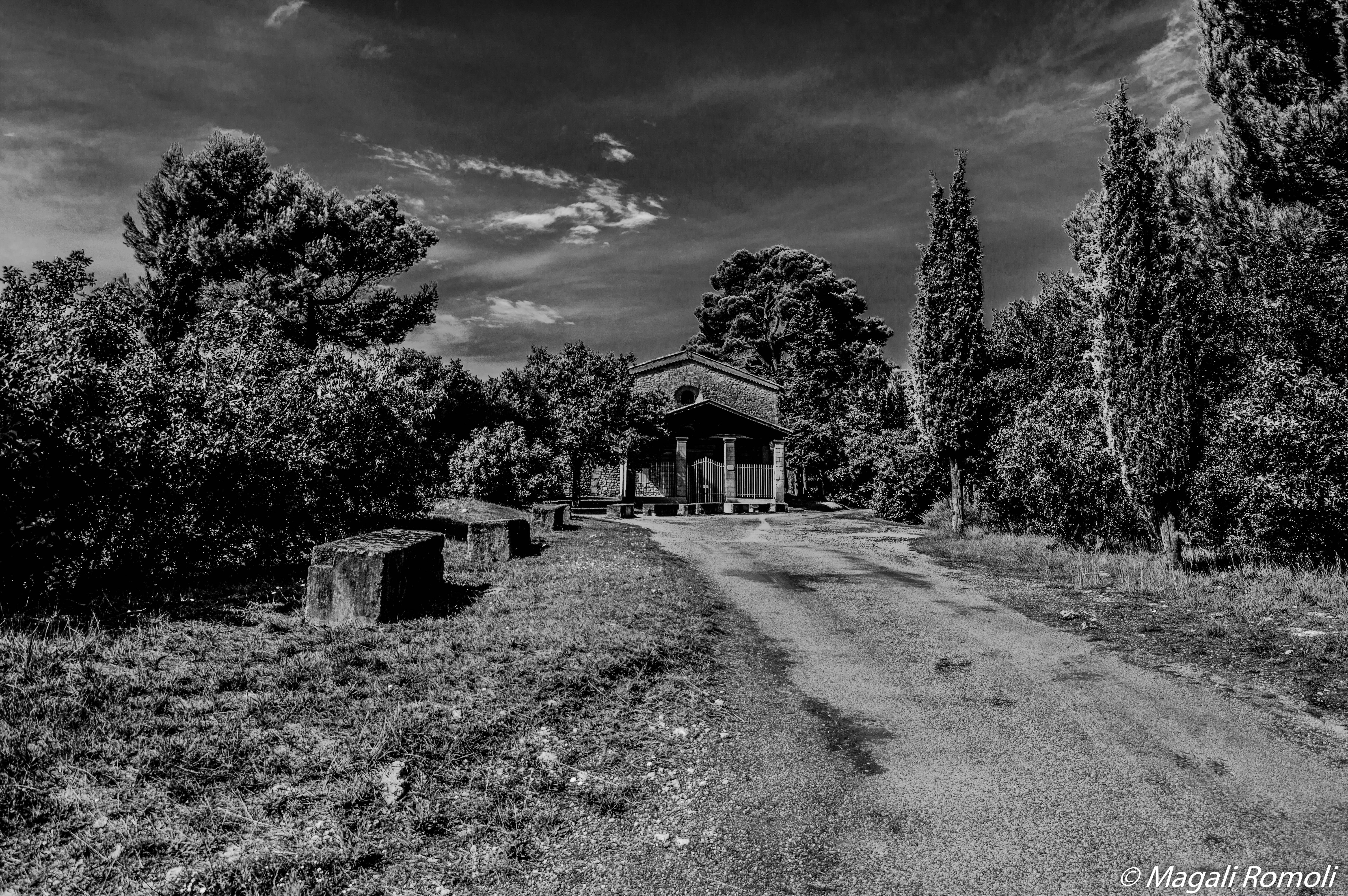 20082014-20082014-20082014-DSC_0580-2