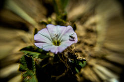 Magali Romoli-101.jpg