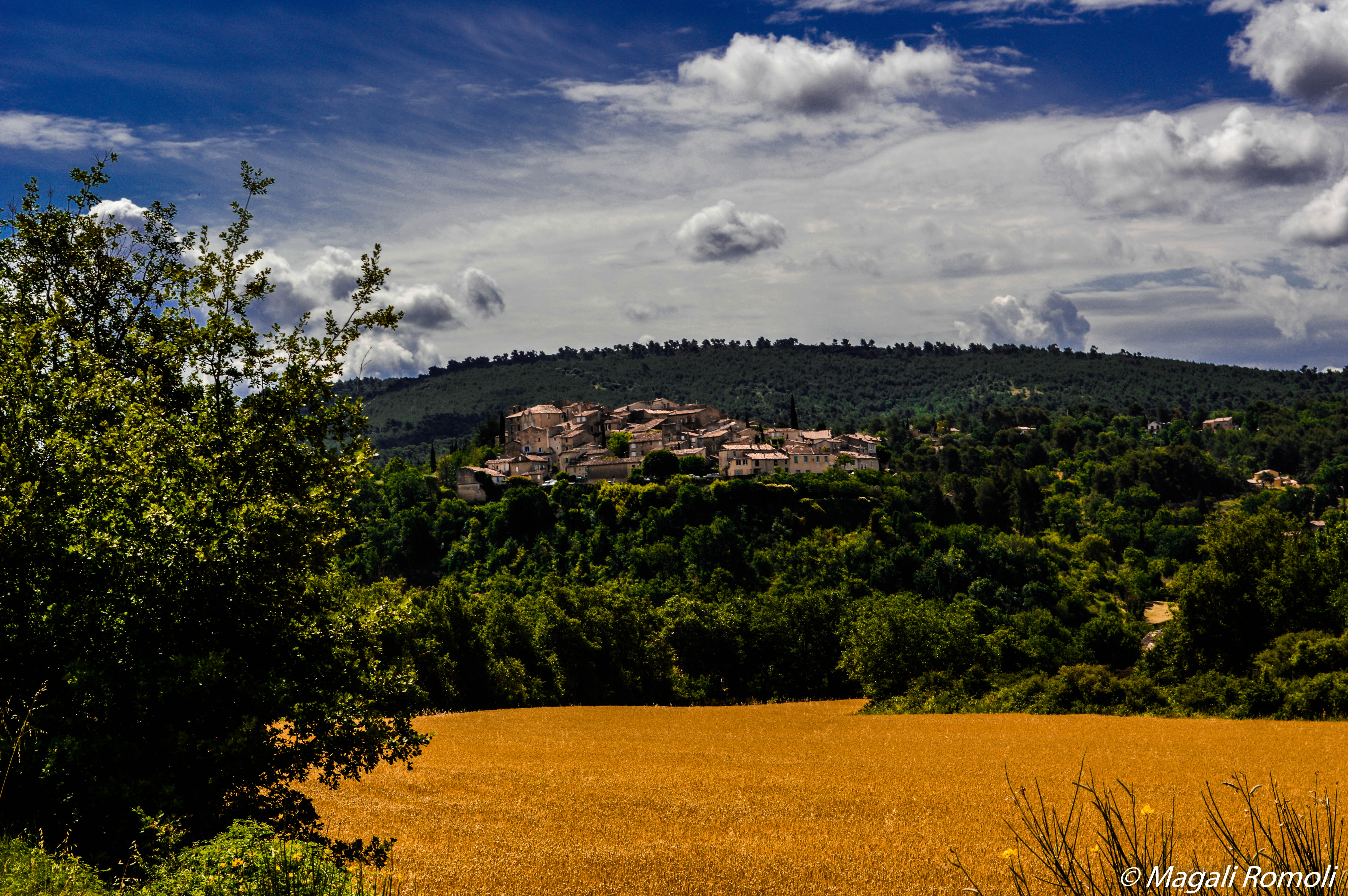 DSC_0132-4-2