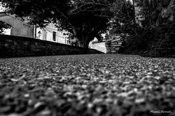 Magali Romoli Photographies-