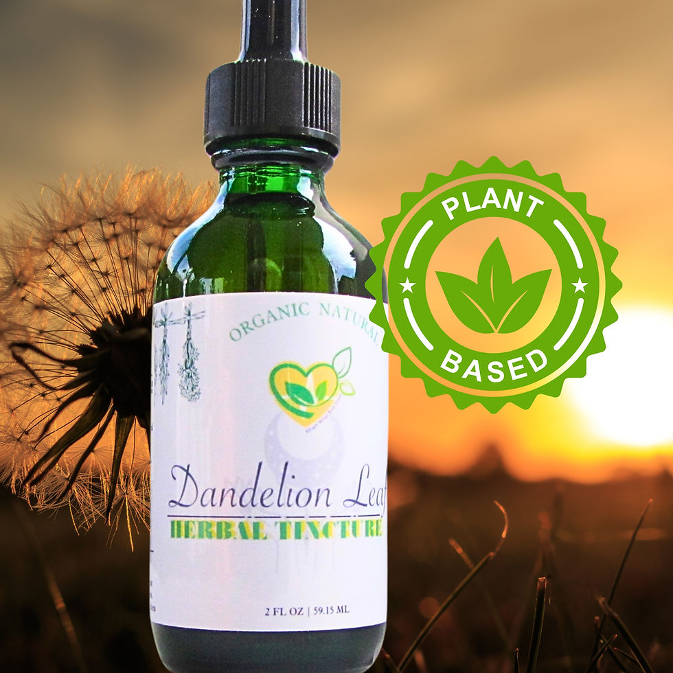Miniatura: Dandelion Leaf Tincture Organic Liquid Herbal Drops Natural PlantBase 2 Oz