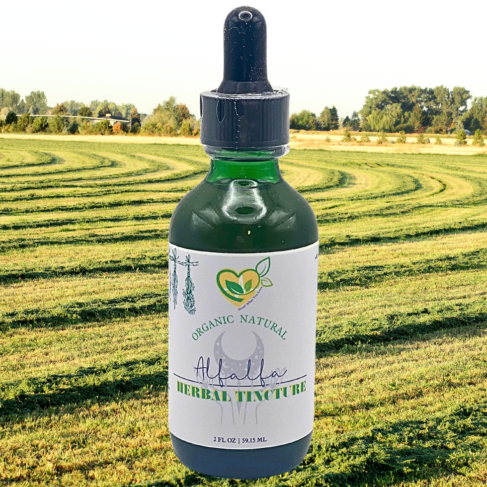 Miniatura: Alfalfa Tincture Organic Liquid Herbal Drops Natural Plant-base 2oz Green Power