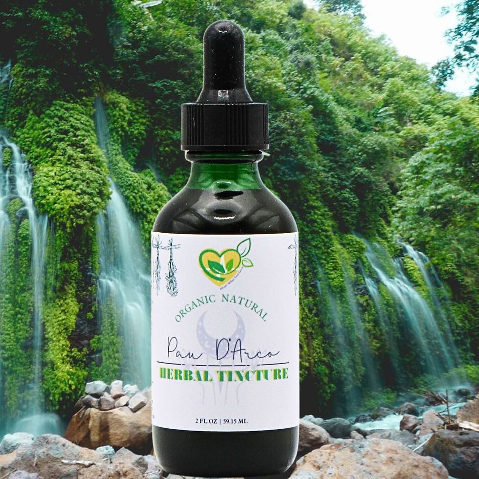 Thumbnail: Organic Pau D'arco Tincture Maximum Strength Liquid Dropper Natural Extract
