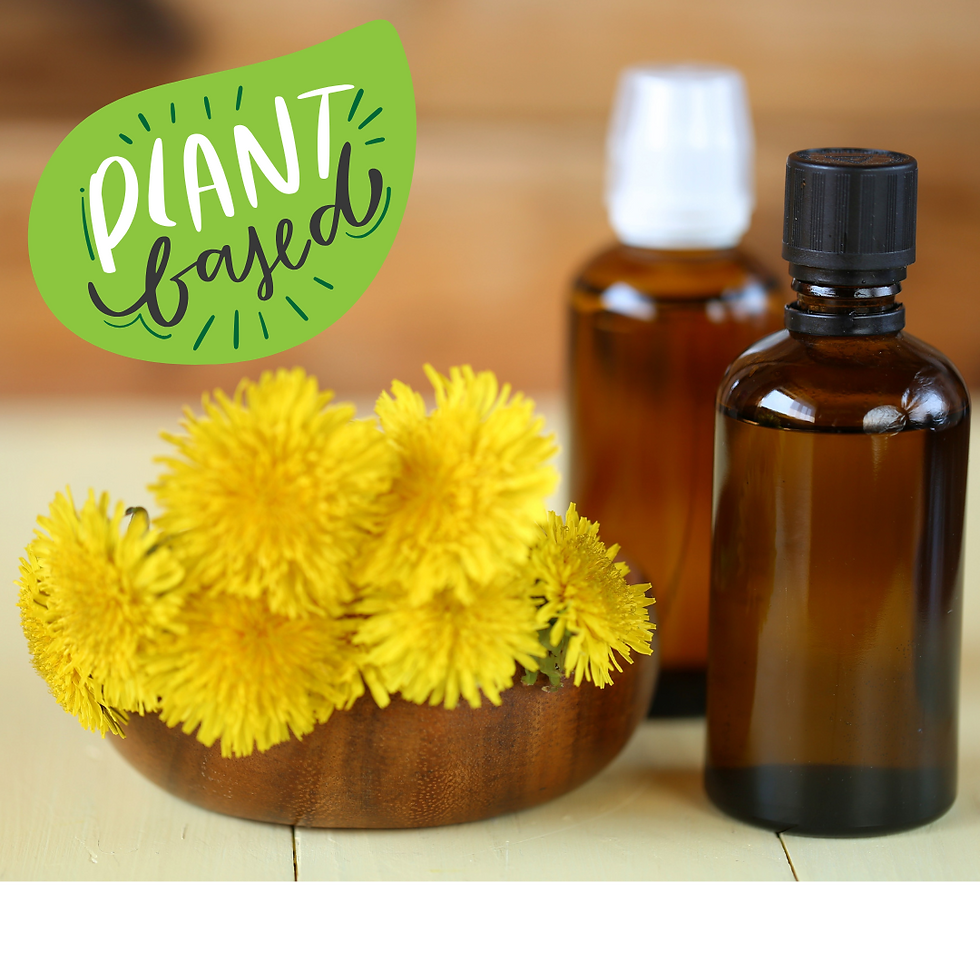 Miniatura: "Organic Dandelion Leaf tincture in dropper bottle, with dandelion roots and leaves nearby."