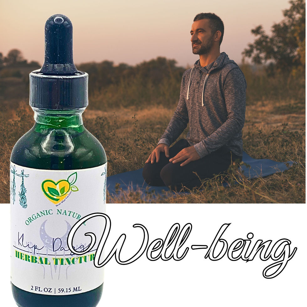 Miniatura: Lions Ear Tincture Organic Natural Liquid Herbal Drops 2 oz Bottle RELAX DREAM