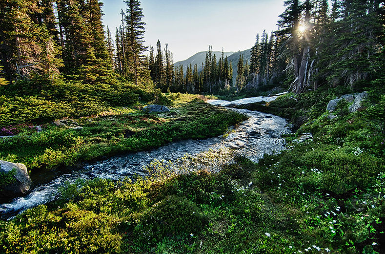 stream2 - edited.jpg
