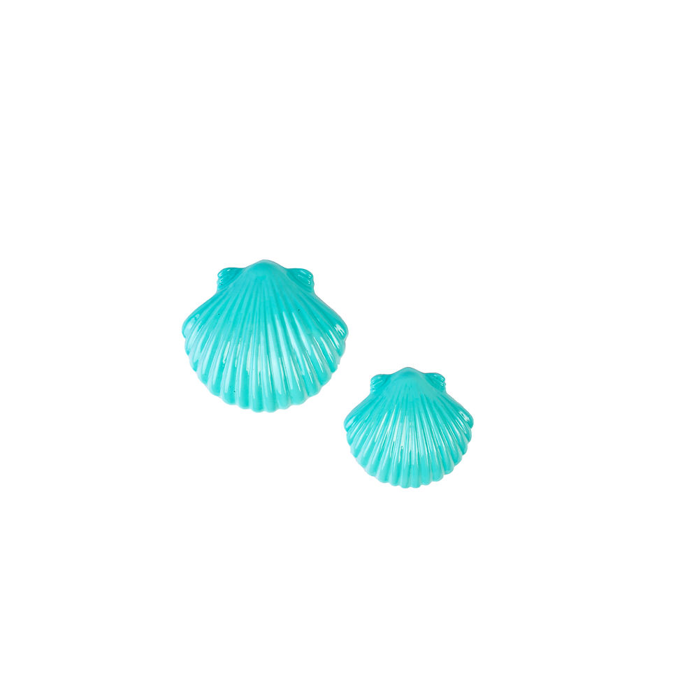 Thumbnail: Shell Weight for Diving