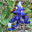 Writer: Bastrop Beekeeper