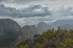 DSC07911-01